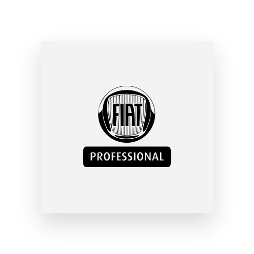 fiat-professional-mgs-markenwelt